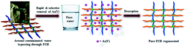 Graphical abstract: Polysaccharide-derived hydrogel water filter for the rapid and selective removal of arsenic