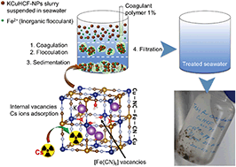 Graphical abstract: Decontamination of very dilute Cs in seawater by a coagulation–precipitation method using a nanoparticle slurry of copper hexacyanoferrate