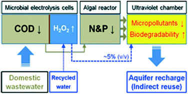 Graphical abstract: A proof of concept study for wastewater reuse using bioelectrochemical processes combined with complementary post-treatment technologies