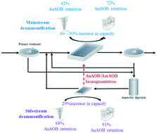 Graphical abstract: Screen versus cyclone for improved capacity and robustness for sidestream and mainstream deammonification