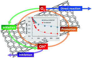 Graphical abstract: Degradation of ibuprofen and acetylsulfamethoxazole by multi-walled carbon nanotube catalytic ozonation: surface properties, kinetics and modeling