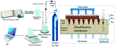 Graphical abstract: Application of composite flocculants for removing organic matter and mitigating ultrafiltration membrane fouling in surface water treatment: the role of composite ratio