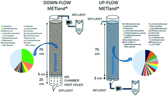 Graphical abstract: A new concept in constructed wetlands: assessment of aerobic electroconductive biofilters