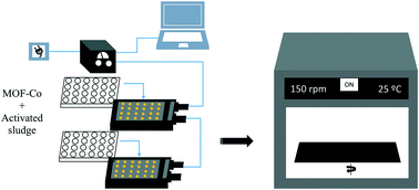 Graphical abstract: Microrespirometric assessment of the metal–organic framework [Co2(btec)(bipy)(DMF)2]n (“MOF-Co”) to prevent inhibition by arsenic in activated sludge