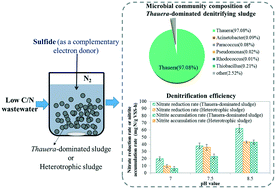Graphical abstract: Effects of sulfide on mixotrophic denitrification by Thauera-dominated denitrifying sludge