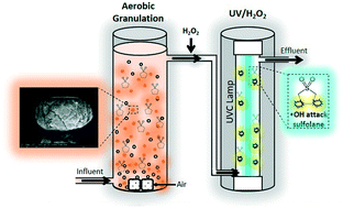 Graphical abstract: Integration of aerobic granulation and UV/H2O2 processes in a continuous flow system for the degradation of sulfolane in contaminated water