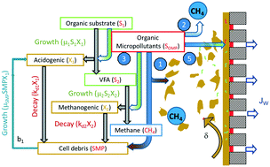 Graphical abstract: Removal of organic micropollutants in anaerobic membrane bioreactors in wastewater treatment: critical review