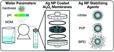 Graphical abstract: The effects of water chemistry on the detachment and dissolution of differently stabilized silver nanoparticles from ceramic membranes