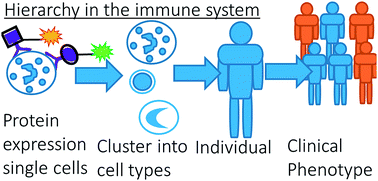 Graphical abstract: Resolving complex hierarchies in chemical mixtures: how chemometrics may serve in understanding the immune system