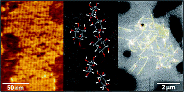 Graphical abstract: Hierarchically patterned striped phases of polymerized lipids: toward controlled carbohydrate presentation at interfaces