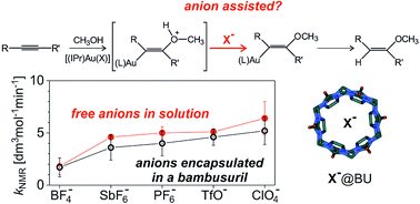 Graphical abstract: Bambusurils as a mechanistic tool for probing anion effects