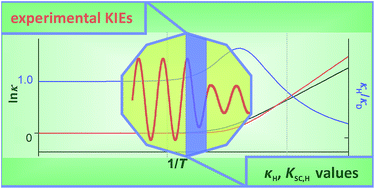 Graphical abstract: What are the signatures of tunnelling in enzyme-catalysed reactions?