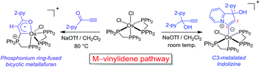Graphical abstract: Isolation of a C3-metalated indolizine complex and a phosphonium ring-fused bicyclic metallafuran from the osmium-induced transformation of pyridine-tethered alkynes