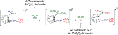 Graphical abstract: Platinum-mediated B–H methoxylation of bis(pyrazolyl)borate