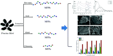 Graphical abstract: A comparison study on polysaccharides extracted from Fructus Mori using different methods: structural characterization and glucose entrapment