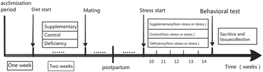 Graphical abstract: The status of ω-3 PUFAs influence chronic unpredicted mild stress-induced metabolic side effects in rats through INSIG/SREBP pathway