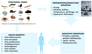 Graphical abstract: Extraction techniques and potential health benefits of bioactive compounds from marine molluscs: a review