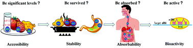 Graphical abstract: Nutritive implications of dietary microRNAs: facts, controversies, and perspectives