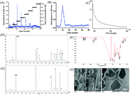 Graphical abstract: Immunomodulatory effects of an acidic polysaccharide fraction from herbal Gynostemma pentaphyllum tea in RAW264.7 cells