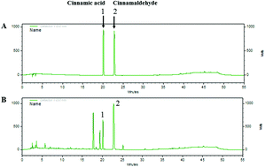 Graphical abstract: Cinnamon subcritical water extract attenuates intestinal inflammation and enhances intestinal tight junction in a Caco-2 and RAW264.7 co-culture model