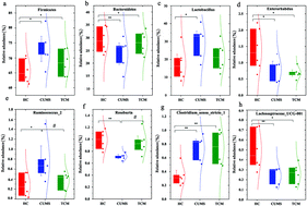 Graphical abstract: Impact of traditional Chinese medicine treatment on chronic unpredictable mild stress-induced depression-like behaviors: intestinal microbiota and gut microbiome function