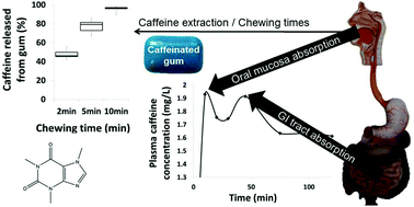 Graphical abstract: Caffeine release and absorption from caffeinated gums