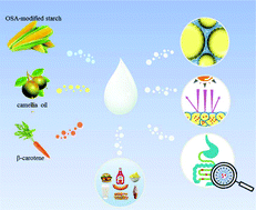 Graphical abstract: A stable high internal phase emulsion fabricated with OSA-modified starch: an improvement in β-carotene stability and bioaccessibility