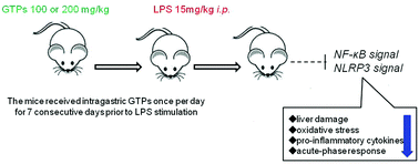 Graphical abstract: Green tea polyphenols prevent lipopolysaccharide-induced inflammatory liver injury in mice by inhibiting NLRP3 inflammasome activation