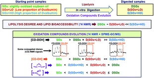 Graphical abstract: The key role of ovalbumin in lipid bioaccessibility and oxidation product profile during the in vitro digestion of slightly oxidized soybean oil