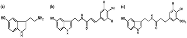 Graphical abstract: Safflower (Carthamus tinctorius L.) seed attenuates memory impairment induced by scopolamine in mice via regulation of cholinergic dysfunction and oxidative stress