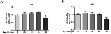 Graphical abstract: Cyanidin ameliorates the progression of osteoarthritis via the Sirt6/NF-κB axis in vitro and in vivo