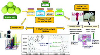 Graphical abstract: A biochemometric approach for the assessment of Phyllanthus emblica female fertility effects as determined via UPLC-ESI-qTOF-MS and GC-MS