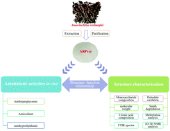 Graphical abstract: The purification, structural characterization and antidiabetic activity of a polysaccharide from Anoectochilus roxburghii
