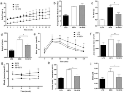 Graphical abstract: Mulberry leaves ameliorate obesity through enhancing brown adipose tissue activity and modulating gut microbiota