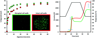 Graphical abstract: Differences in endosperm cell wall integrity in wheat (Triticum aestivum L.) milling fractions impact on the way starch responds to gelatinization and pasting treatments and its subsequent enzymatic in vitro digestibility