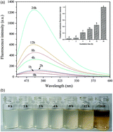 Graphical abstract: Formation of fibrils derived from whey protein isolate: structural characteristics and protease resistance