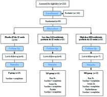 Graphical abstract: The effect of multistrain probiotic supplementation in two doses on iron metabolism in obese postmenopausal women: a randomized trial