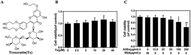 Graphical abstract: Troxerutin suppresses the inflammatory response in advanced glycation end-product-administered chondrocytes and attenuates mouse osteoarthritis development