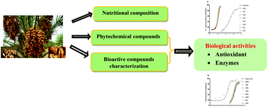 Graphical abstract: Phoenix dactylifera L. seeds: a by-product as a source of bioactive compounds with antioxidant and enzyme inhibitory properties