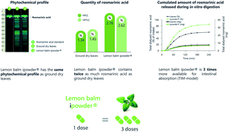 Graphical abstract: Benefits of the ipowder® extraction process applied to Melissa officinalis L.: improvement of antioxidant activity and in vitro gastro-intestinal release profile of rosmarinic acid