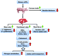 Graphical abstract: Effects of dietary apple polyphenol supplementation on carcass traits, meat quality, muscle amino acid and fatty acid composition in finishing pigs