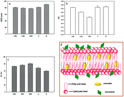 Graphical abstract: Liposome co-encapsulation as a strategy for the delivery of curcumin and resveratrol