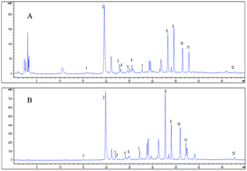 Graphical abstract: Mulberry leaf polyphenols attenuated postprandial glucose absorption via inhibition of disaccharidases activity and glucose transport in Caco-2 cells