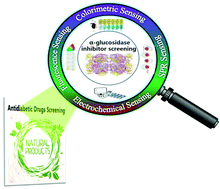 Graphical abstract: Emerging strategies for the activity assay and inhibitor screening of alpha-glucosidase