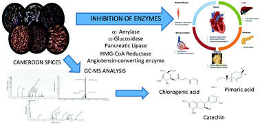 Graphical abstract: Hydroethanolic plant extracts from Cameroon positively modulate enzymes relevant to carbohydrate/lipid digestion and cardio-metabolic diseases