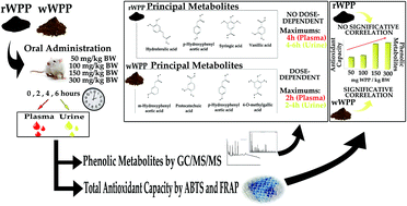 Graphical abstract: The dose–response effect on polyphenol bioavailability after intake of white and red wine pomace products by Wistar rats