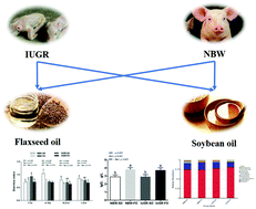 Graphical abstract: Flaxseed oil supplementation improves intestinal function and immunity, associated with altered intestinal microbiome and fatty acid profile in pigs with intrauterine growth retardation