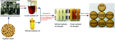 Graphical abstract: Physical properties and cookie-making performance of oleogels prepared with crude and refined soybean oil: a comparative study