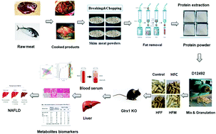 Graphical abstract: High fat diet incorporated with meat proteins changes biomarkers of lipid metabolism, antioxidant activities, and the serum metabolomic profile in Glrx1−/− mice