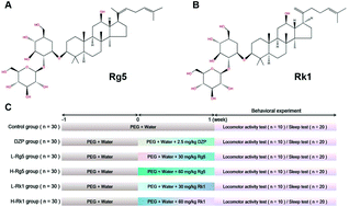 Graphical abstract: Ginsenoside Rg5/Rk1 ameliorated sleep via regulating the GABAergic/serotoninergic signaling pathway in a rodent model